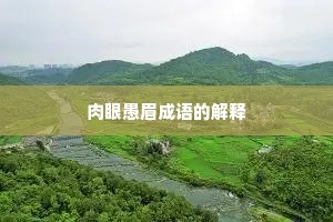 肉眼愚眉成语的解释