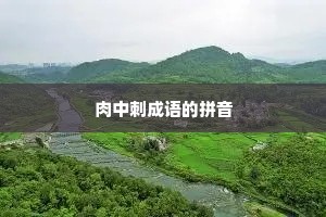 肉中刺成语的拼音
