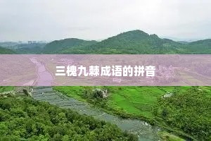 三槐九棘成语的拼音