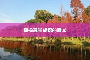 桑榆暮景成语的释义