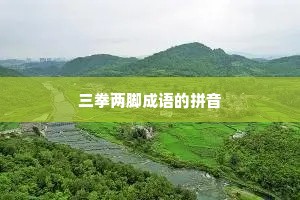 三拳两脚成语的拼音