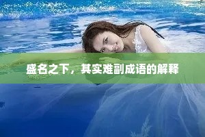 盛名之下，其实难副成语的解释