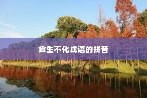 食生不化成语的拼音