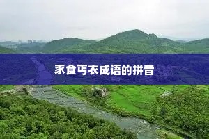 豕食丐衣成语的拼音