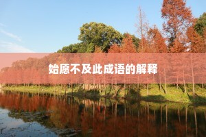 始愿不及此成语的解释