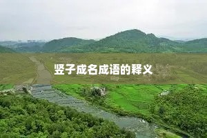 竖子成名成语的释义