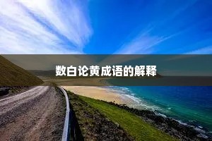 数白论黄成语的解释