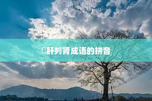 鉥肝刿肾成语的拼音