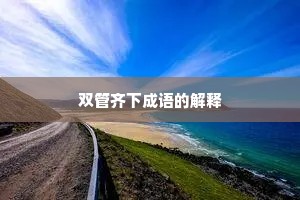 双管齐下成语的解释