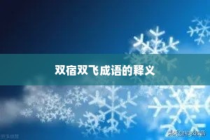 双宿双飞成语的释义