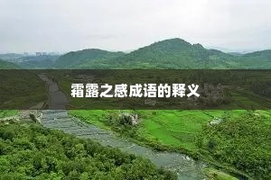 霜露之感成语的释义