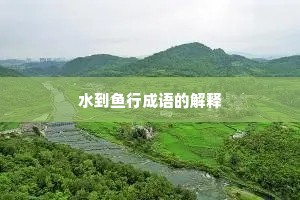 水到鱼行成语的解释