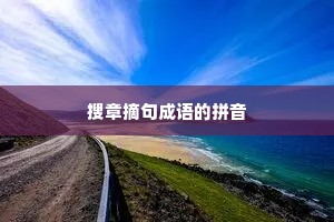 搜章摘句成语的拼音