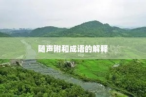 随声附和成语的解释