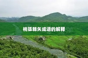 桃弧棘矢成语的解释
