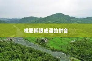 桃腮柳眼成语的拼音