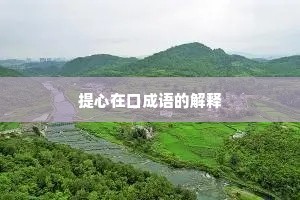 提心在口成语的解释