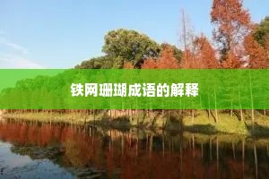铁网珊瑚成语的解释