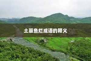 土崩鱼烂成语的释义