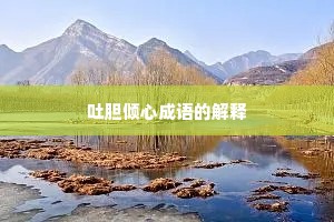 吐胆倾心成语的解释