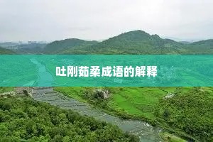 吐刚茹柔成语的解释
