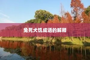 兔死犬饥成语的解释