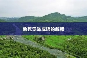 兔死凫举成语的解释