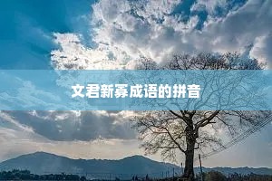 文君新寡成语的拼音