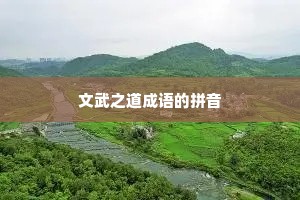 文武之道成语的拼音