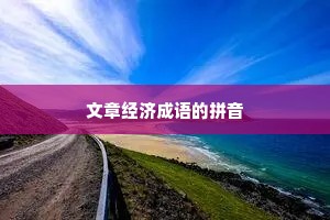 文章经济成语的拼音