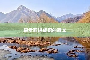 稳步前进成语的释义