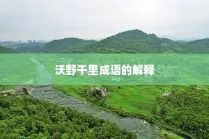 沃野千里成语的解释
