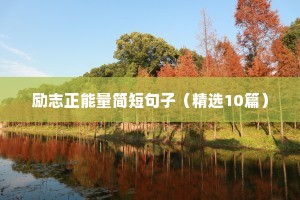 励志优雅正能量句子（通用10篇）