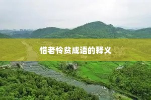 惜老怜贫成语的释义
