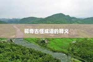 稀奇古怪成语的释义