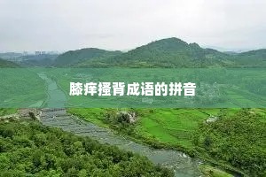 膝痒搔背成语的拼音