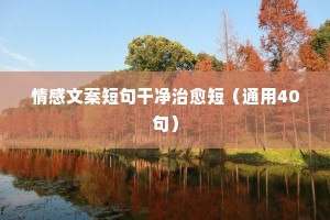 八方支持的解释