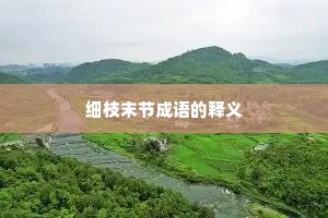 细枝末节成语的释义
