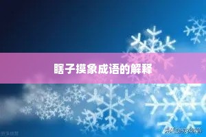 瞎子摸象成语的解释