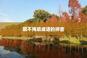 瑕不掩瑜成语的拼音