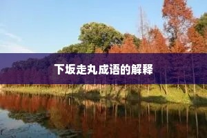 下坂走丸成语的解释