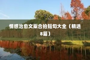 八街九陌的解释
