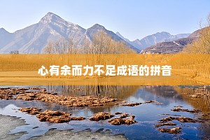 心有余而力不足成语的拼音