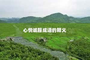 心悦诚服成语的释义