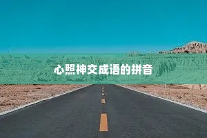 心照神交成语的拼音