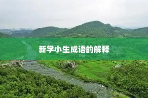 新学小生成语的解释