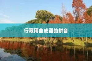 行藏用舍成语的拼音