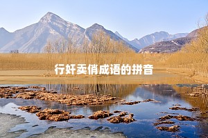 行奸卖俏成语的拼音