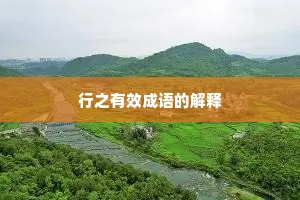 行之有效成语的解释