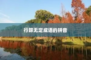 行踪无定成语的拼音